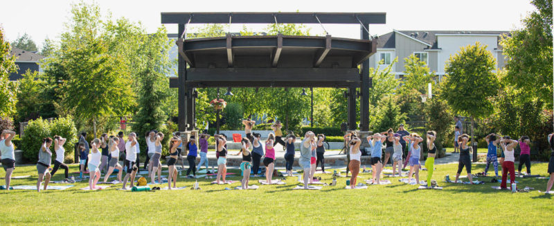 Yoga in the Park